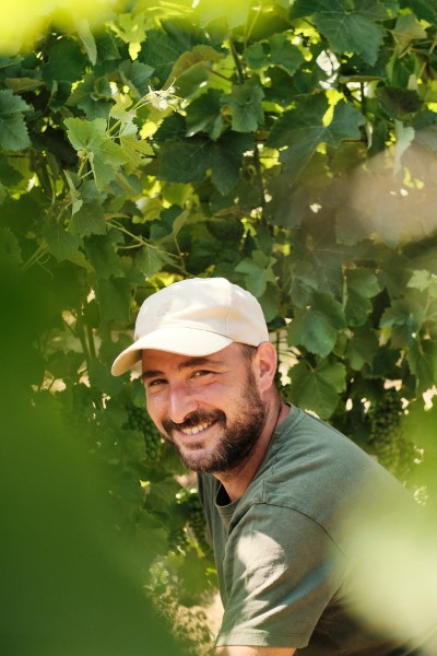 Wine
